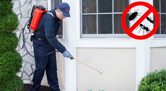 Çiftlikköy Haşere İlaçlama böcek ilaçlama ve haşere kontrolü — ilaclama-tr.com